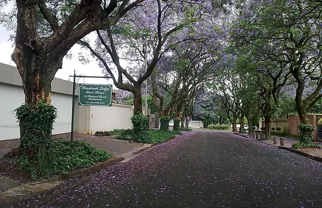 Rosebank Lodge Guesthouse By Claires-1